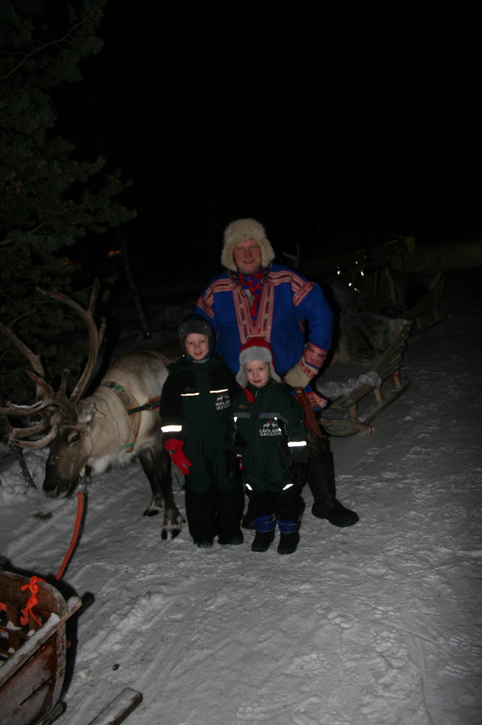 Nighttime reindeer sleigh ride in Lapland - a reindeer safari