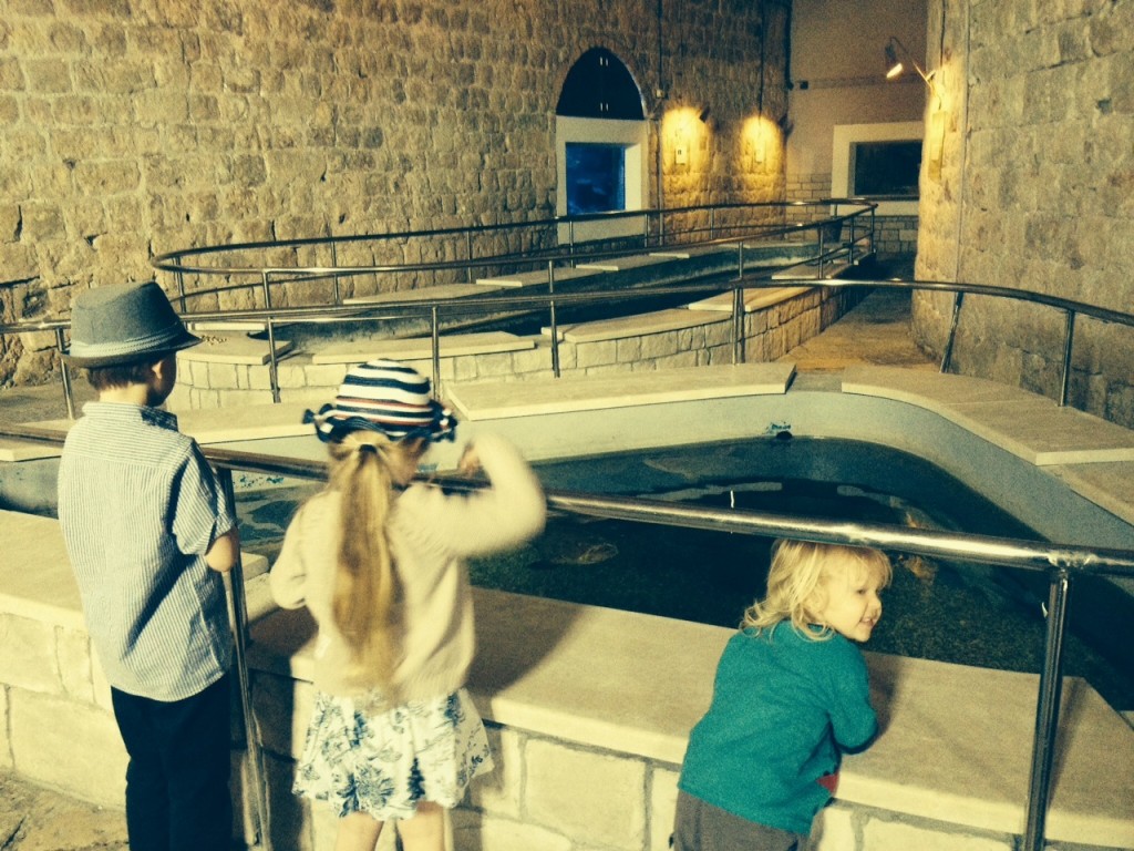 Dubrovnik in a day