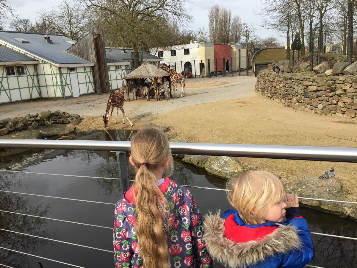 Royal Artis Zoo