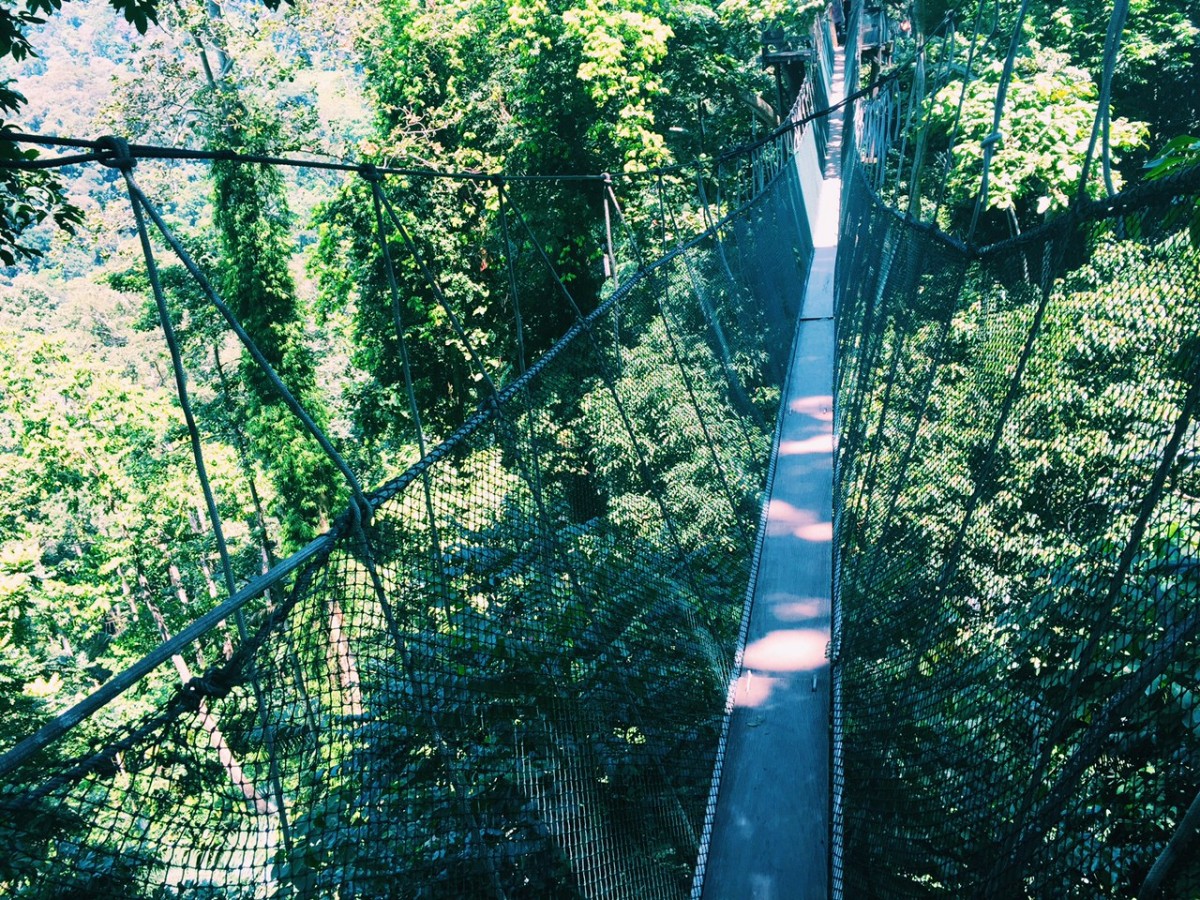 Canopy Walk, just outside of Kuala Lumpur - would you?!
