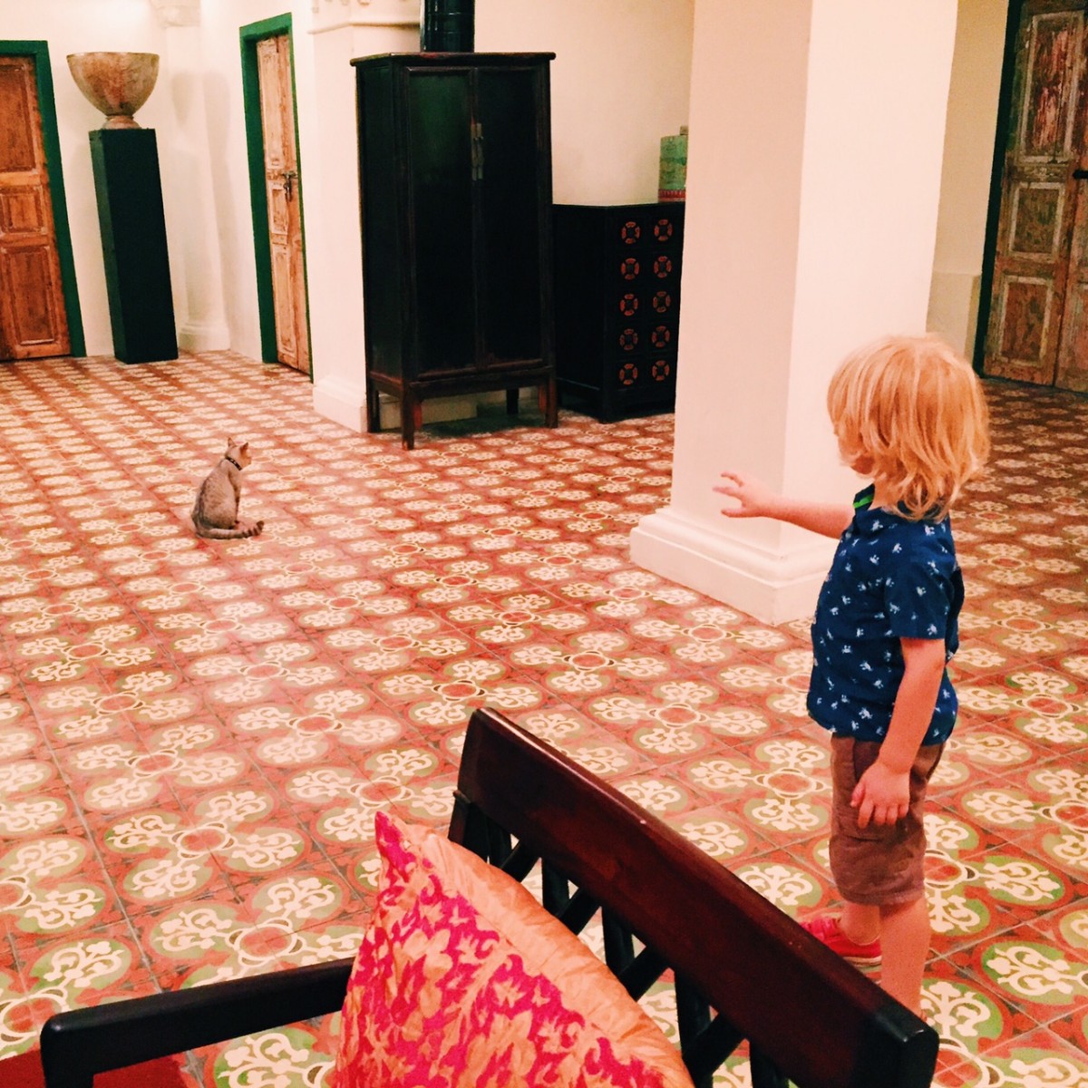 Our beautiful stay at Temple Tree with a rescued Malaysian house...and cat!