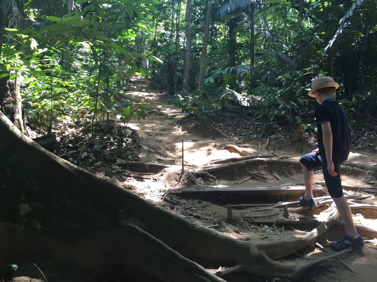 A terrifying jungle walk, Forest Research Institute, just outside of Kuala Lumpur, Malaysia