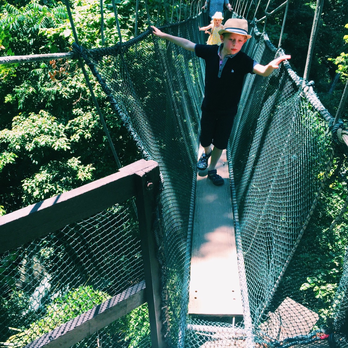jungle walk