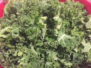 Spicy kale crisps - Copyright: www.globalmousetravels.com