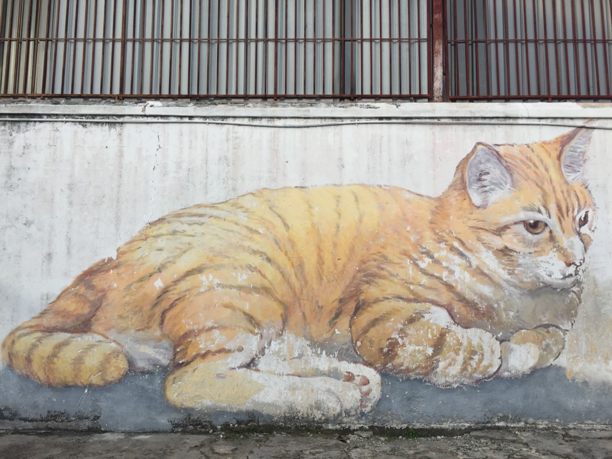 the Giant Cat or 'Skippy comes to Penang'
