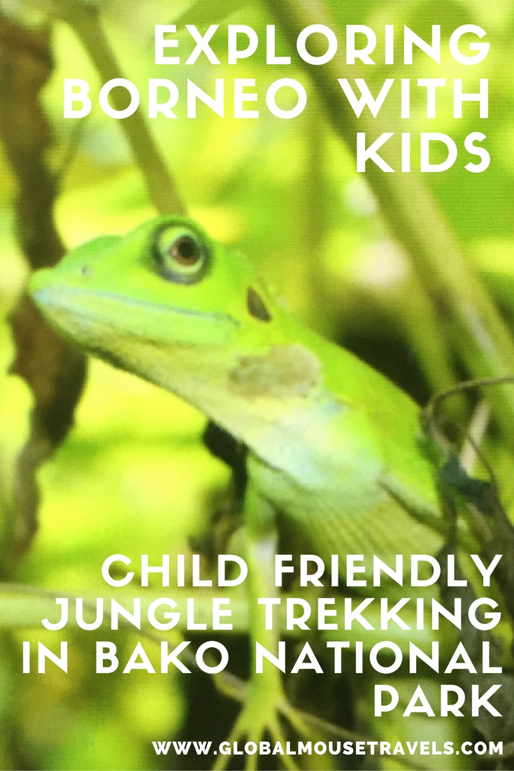 A day of adventure - trekking through the Borneo rainforest at the Bako National Park with kids