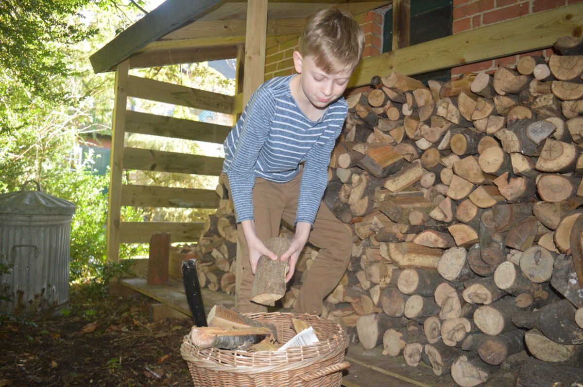 Collecting wood