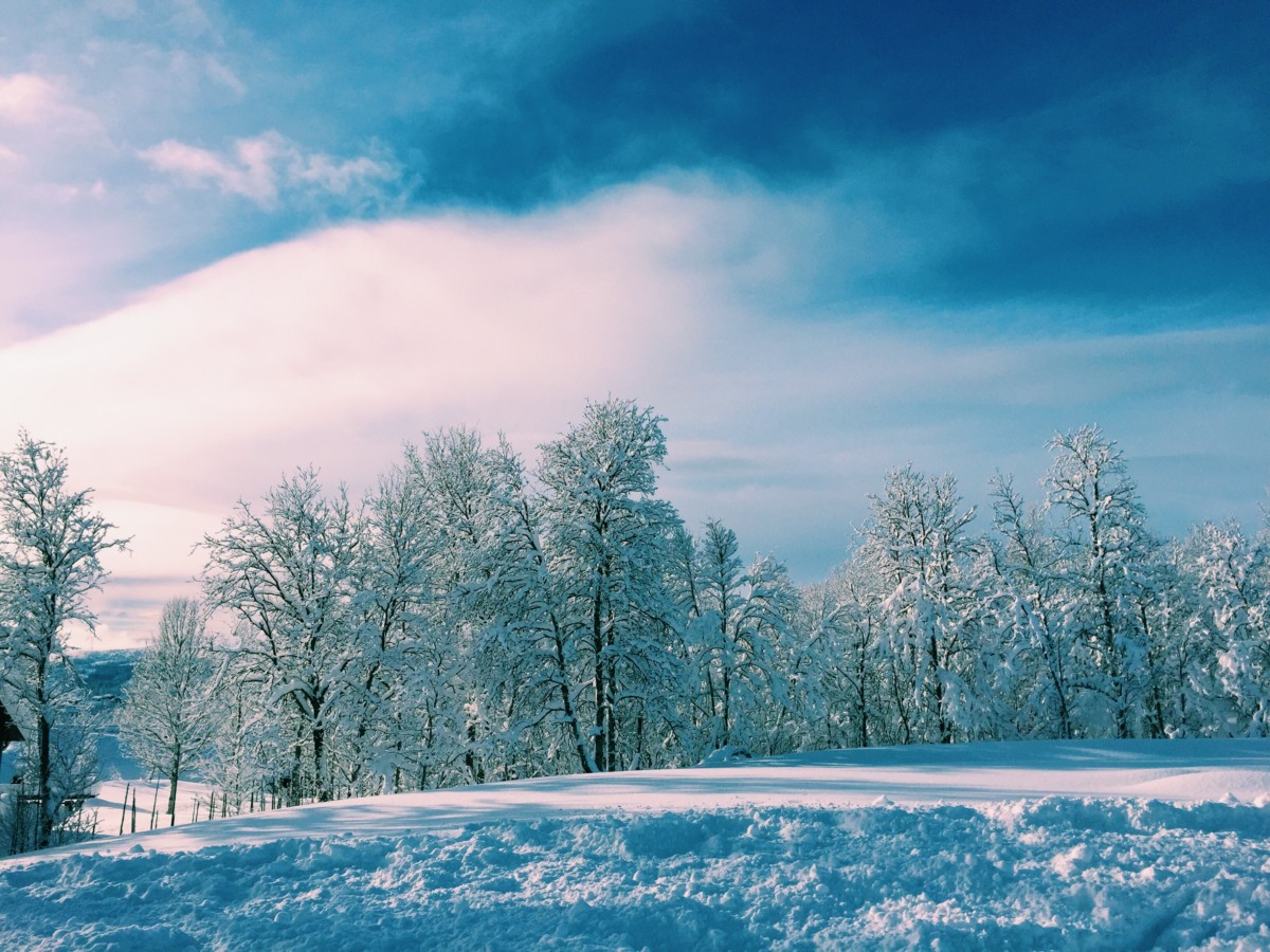 Our ultimate ski resort guide to Beitostolen, Norway