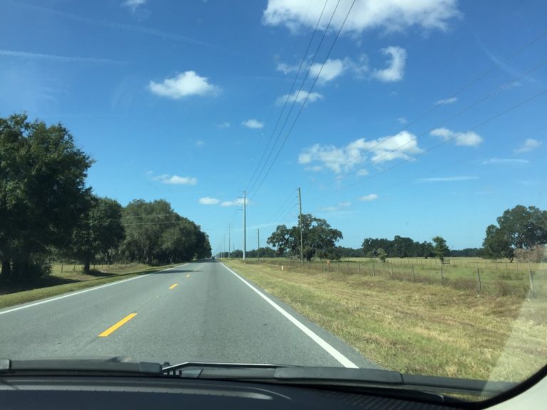 A 14 day Florida itinerary (Orlando, St Petersburg, Miami & more)