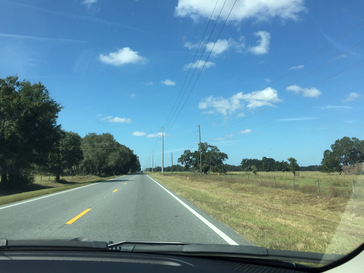 A 14 day Florida itinerary (Orlando, St Petersburg, Miami & more)