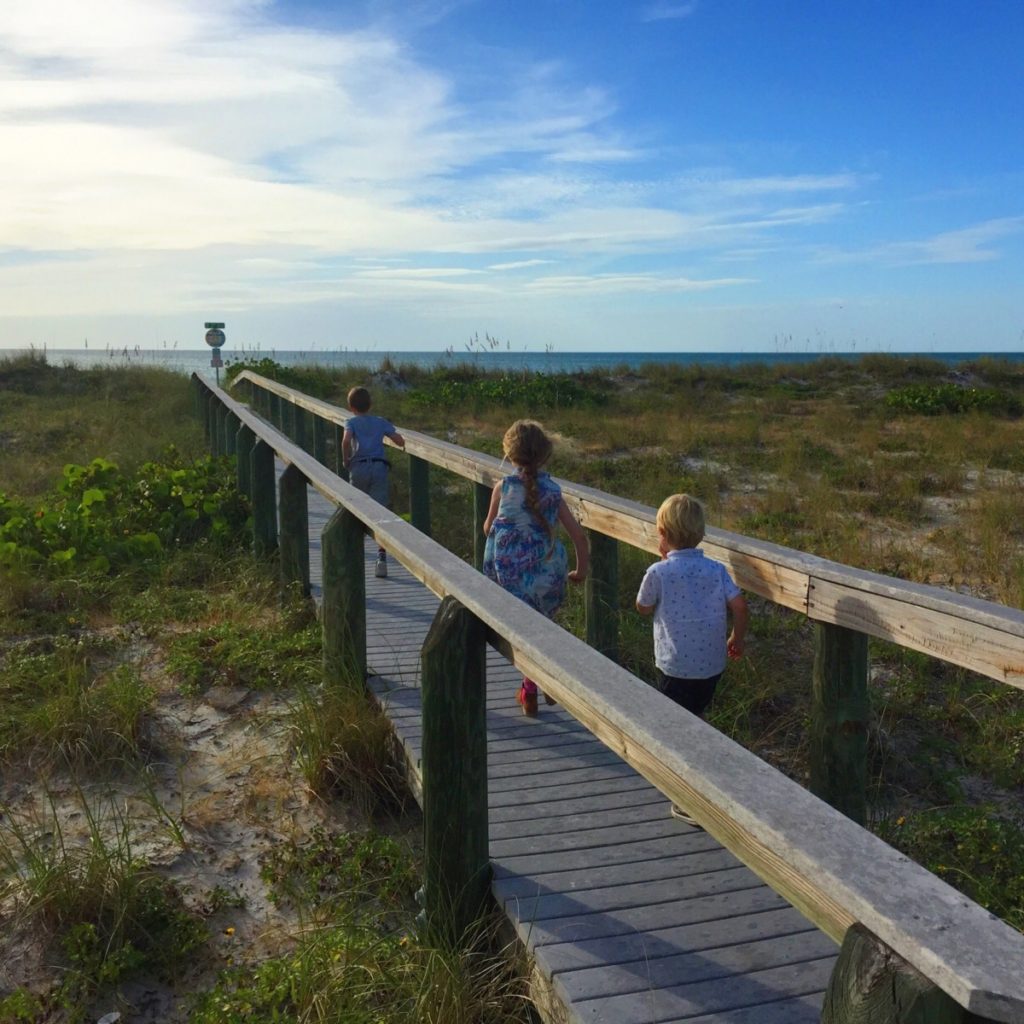 10 of the best day trips from Orlando, Florida: Go shell hunting on Pass-A-Grille beach, St Petersburg - copyright: www.globalmousetravels.com