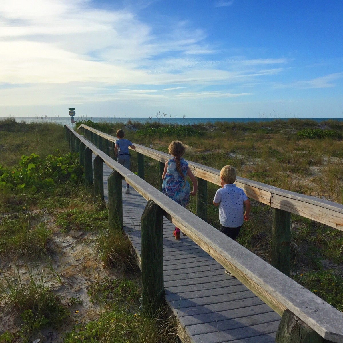 10 of the best day trips from Orlando, Florida: Go shell hunting on Pass-A-Grille beach, St Petersburg - copyright: www.globalmousetravels.com