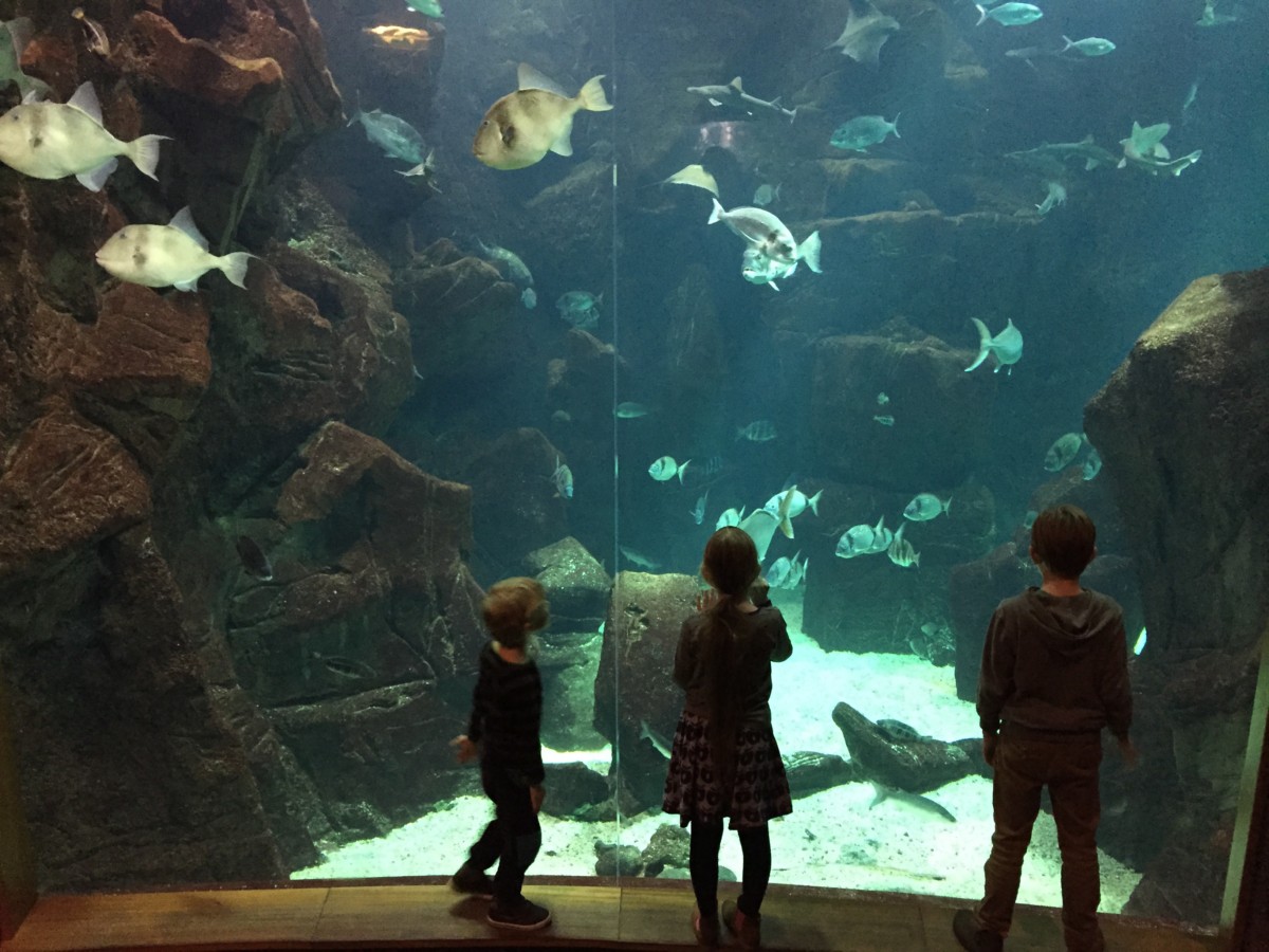 Aquarium
