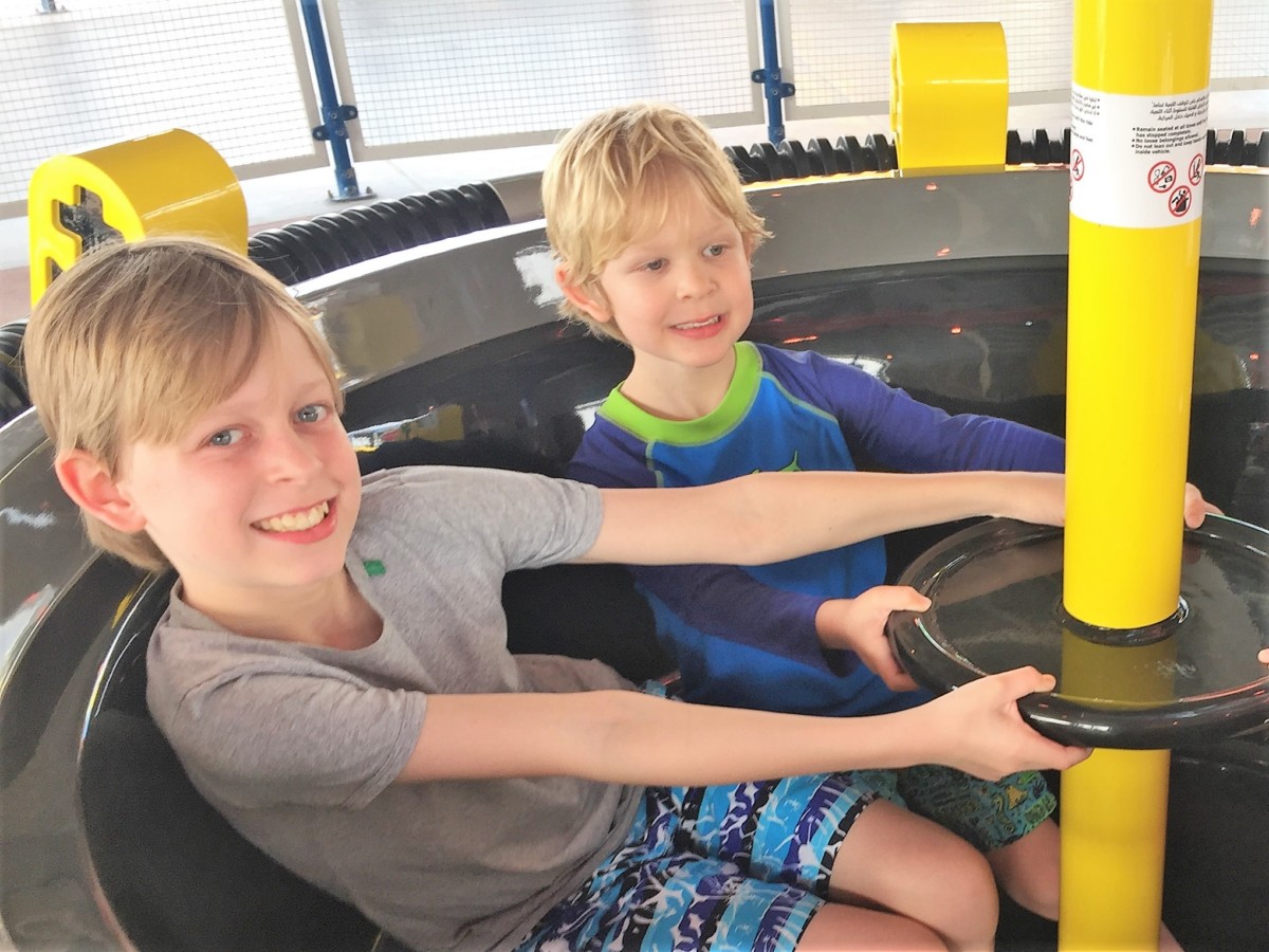 LEGO Technic Twister