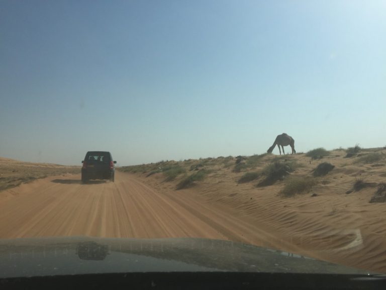 Oman Itinerary - 14 day itinerary around Oman