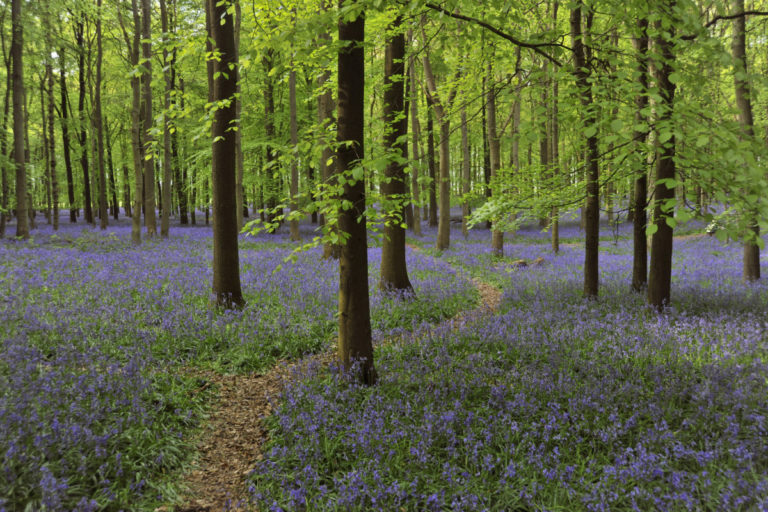 10 top locations for muggles to track down Harry Potter filming locations in England