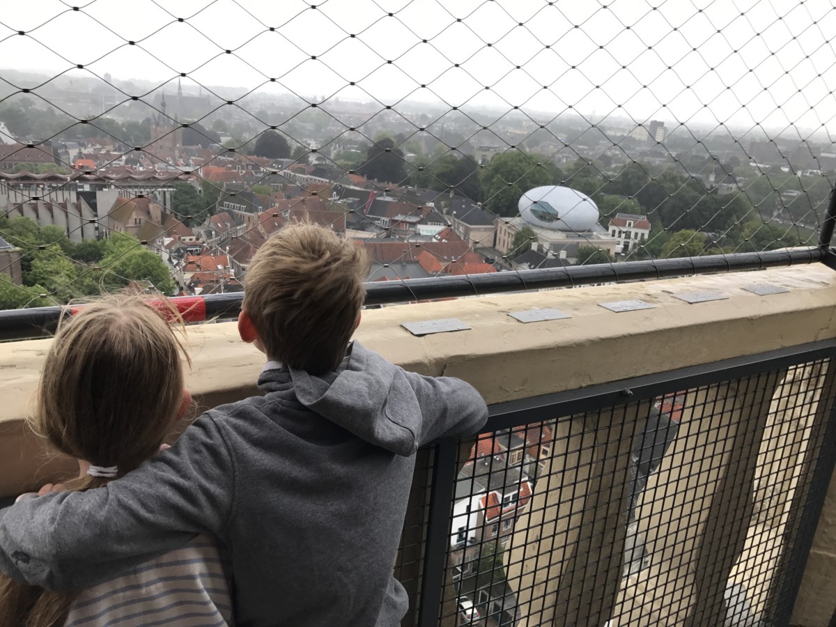 Views over Zwolle