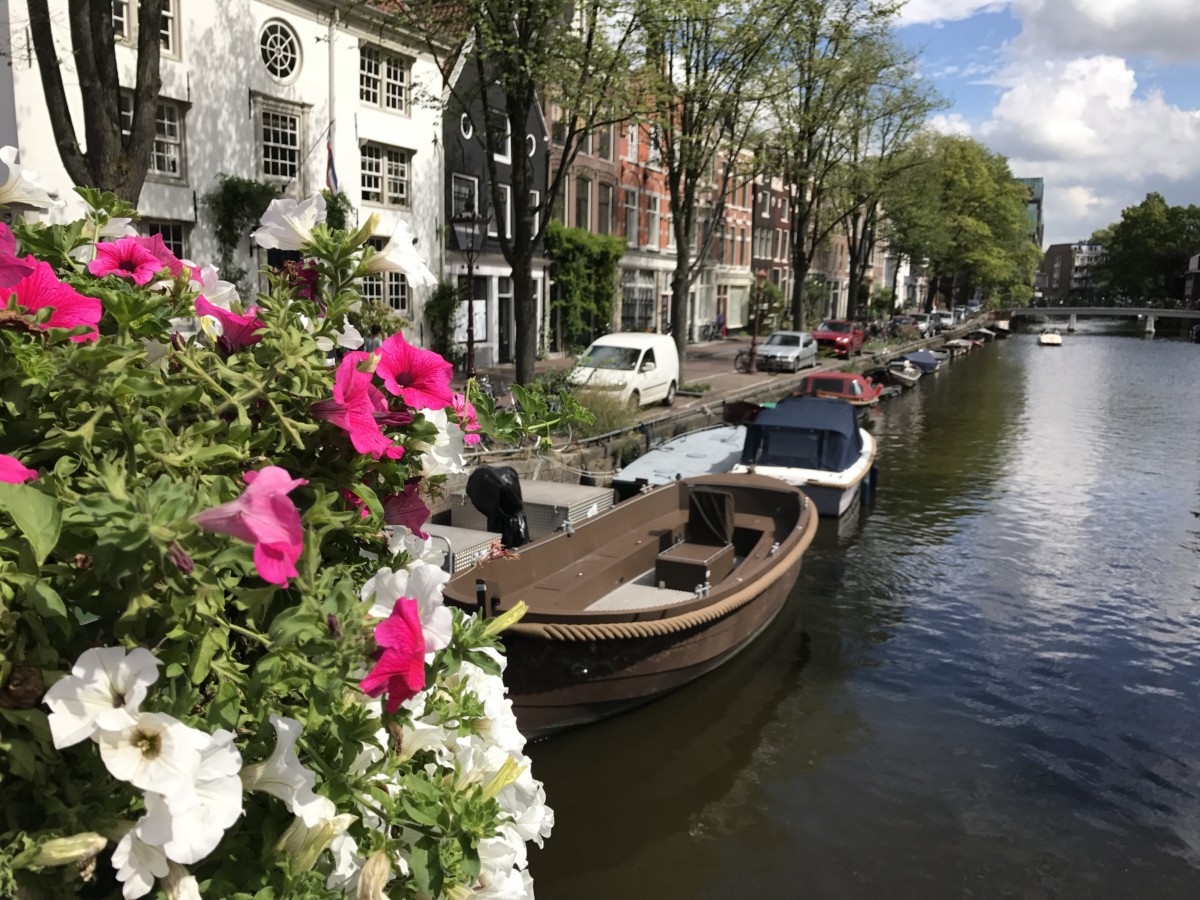 Our guide to Amsterdam with kids - copyright: www.globalmousetravels.com