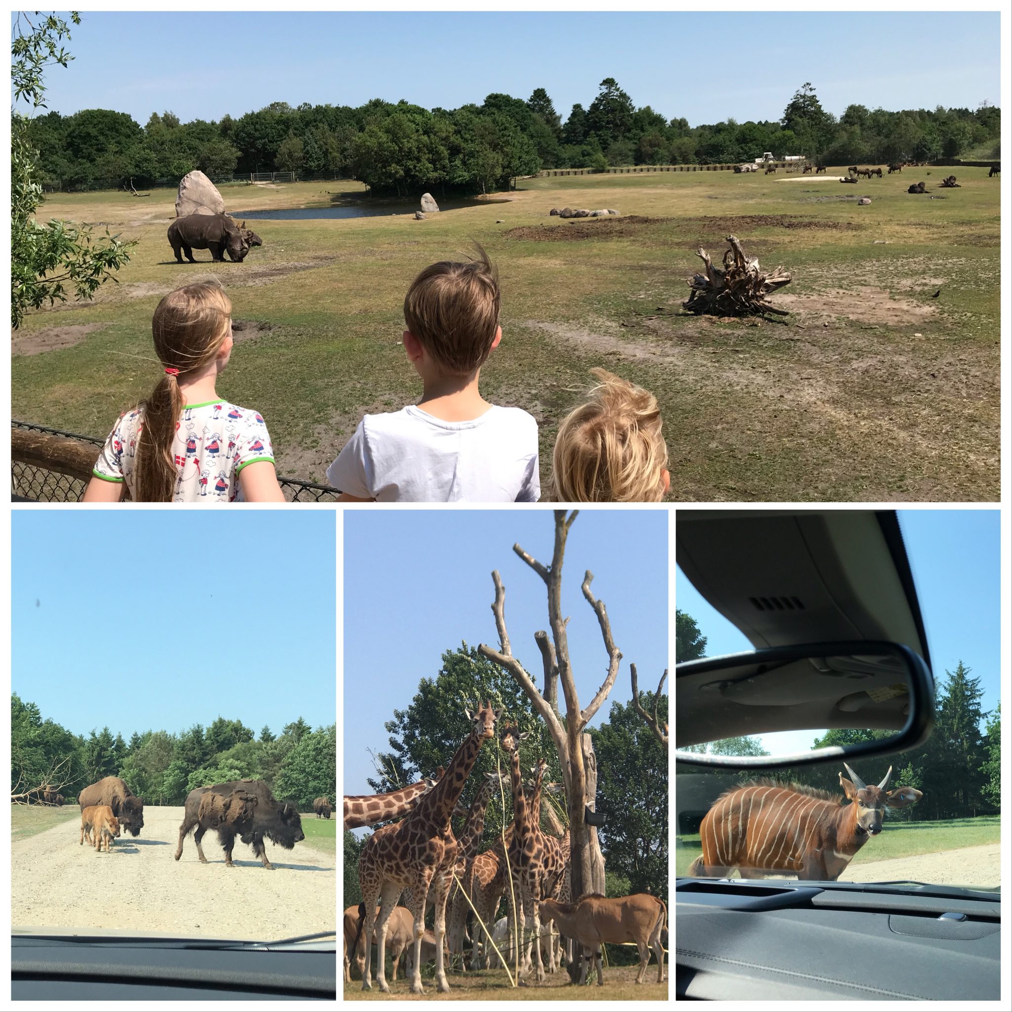 Givskud Zoo