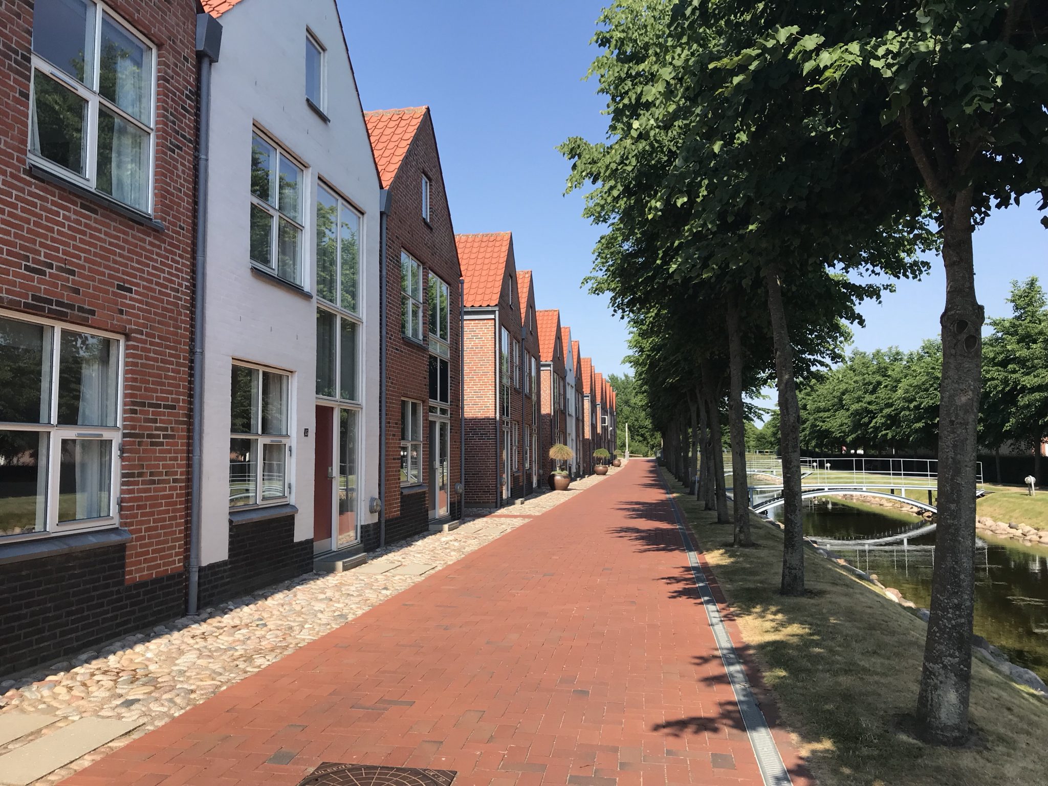 Ribe Byferie