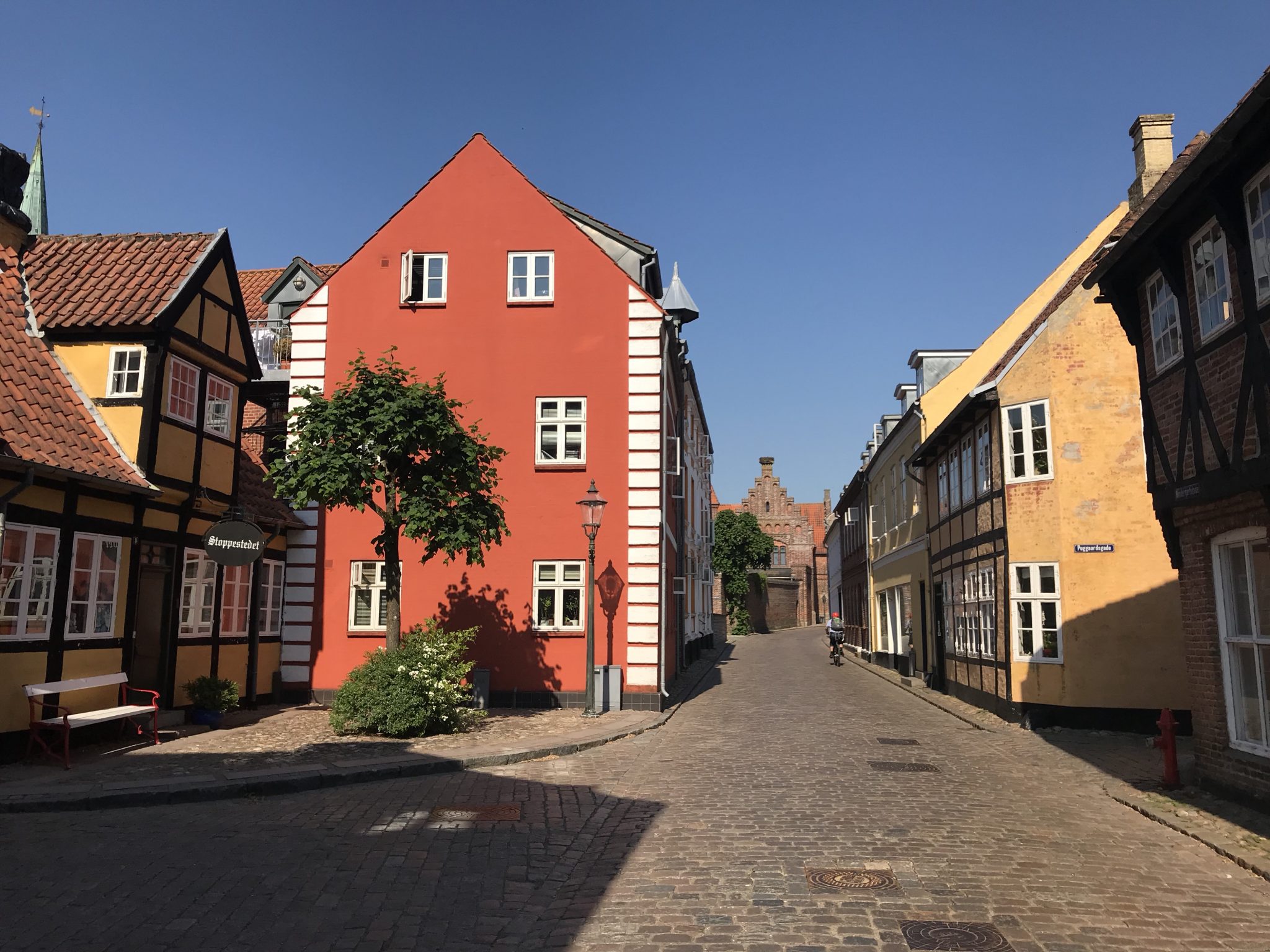 Ribe