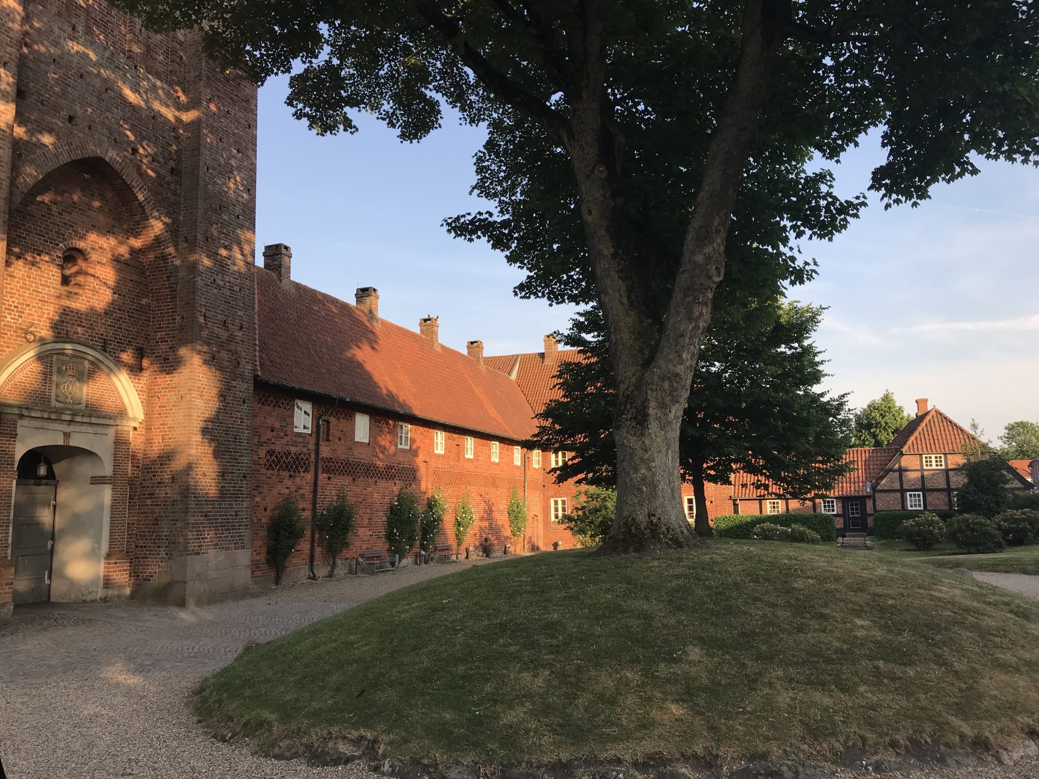 Ribe plague