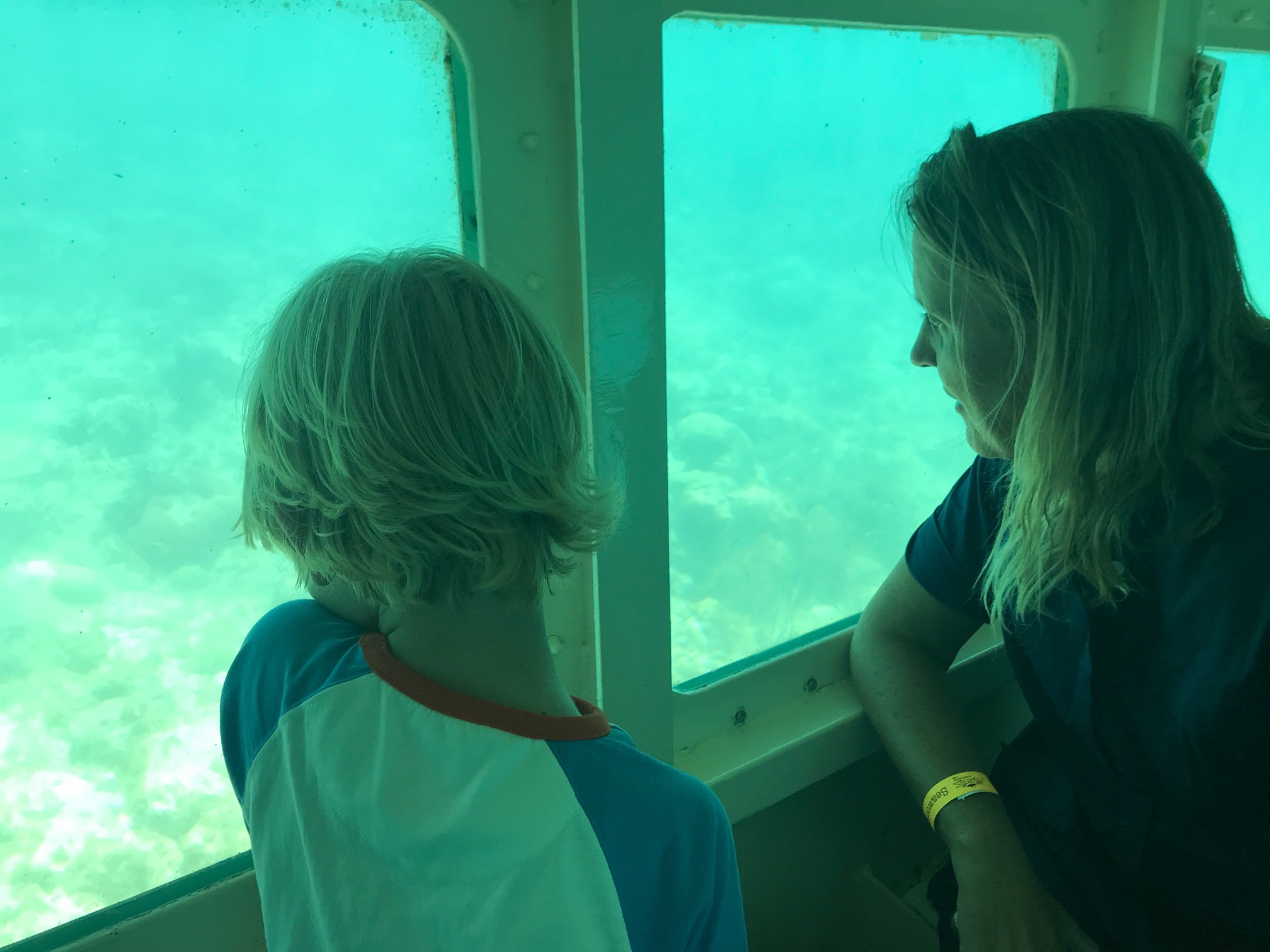 Getting a glimpse under the sea bed in Aruba in a submarine for the whole family - copyright: www.globalmousetravels.com