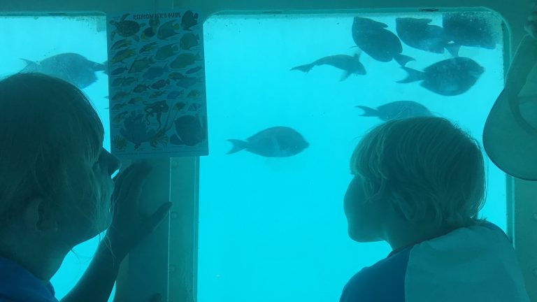 Getting a glimpse under the sea bed in Aruba in a submarine for the whole family - copyright: www.globalmousetravels.com