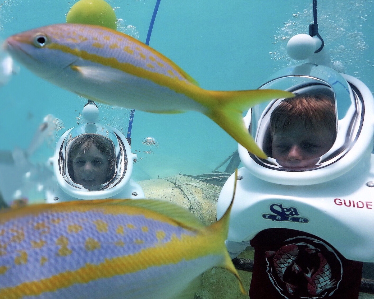 Under the sea