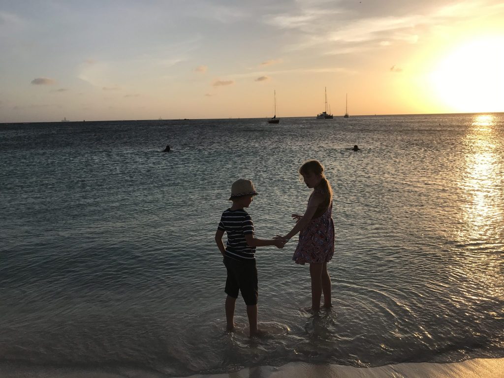 Delicious dishes and enviable views - Reflexions Bar and Restaurant, Aruba