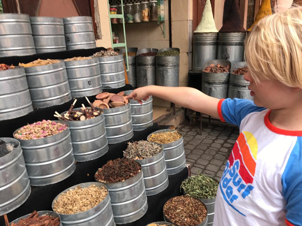 Exploring the spices