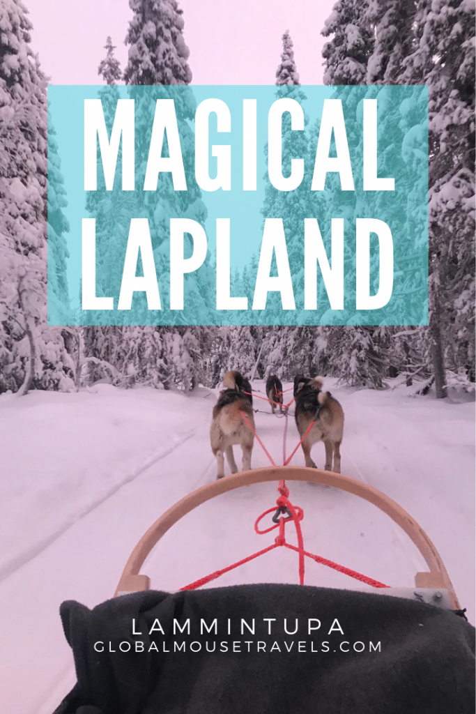 A magical adventure with husky dogs and reindeer at Lammintupa in Lapland