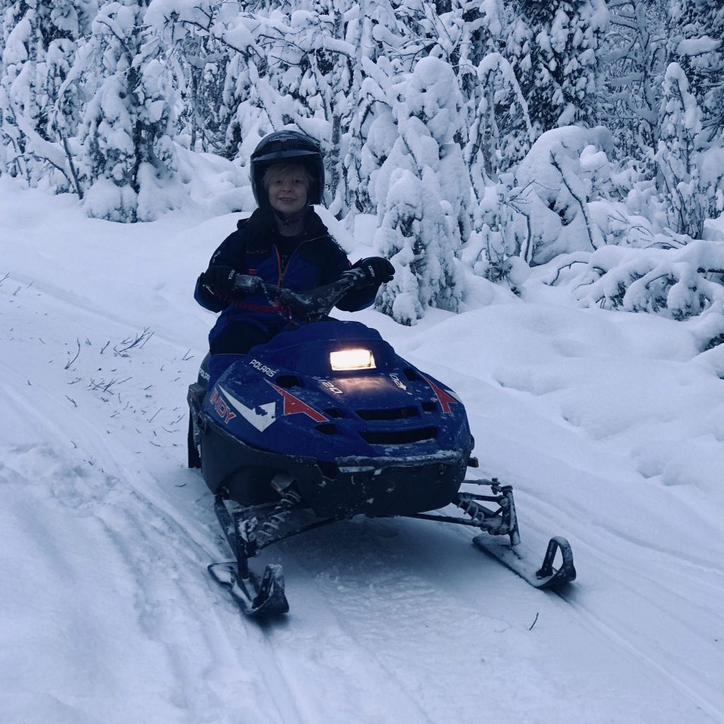 Snowmobiles