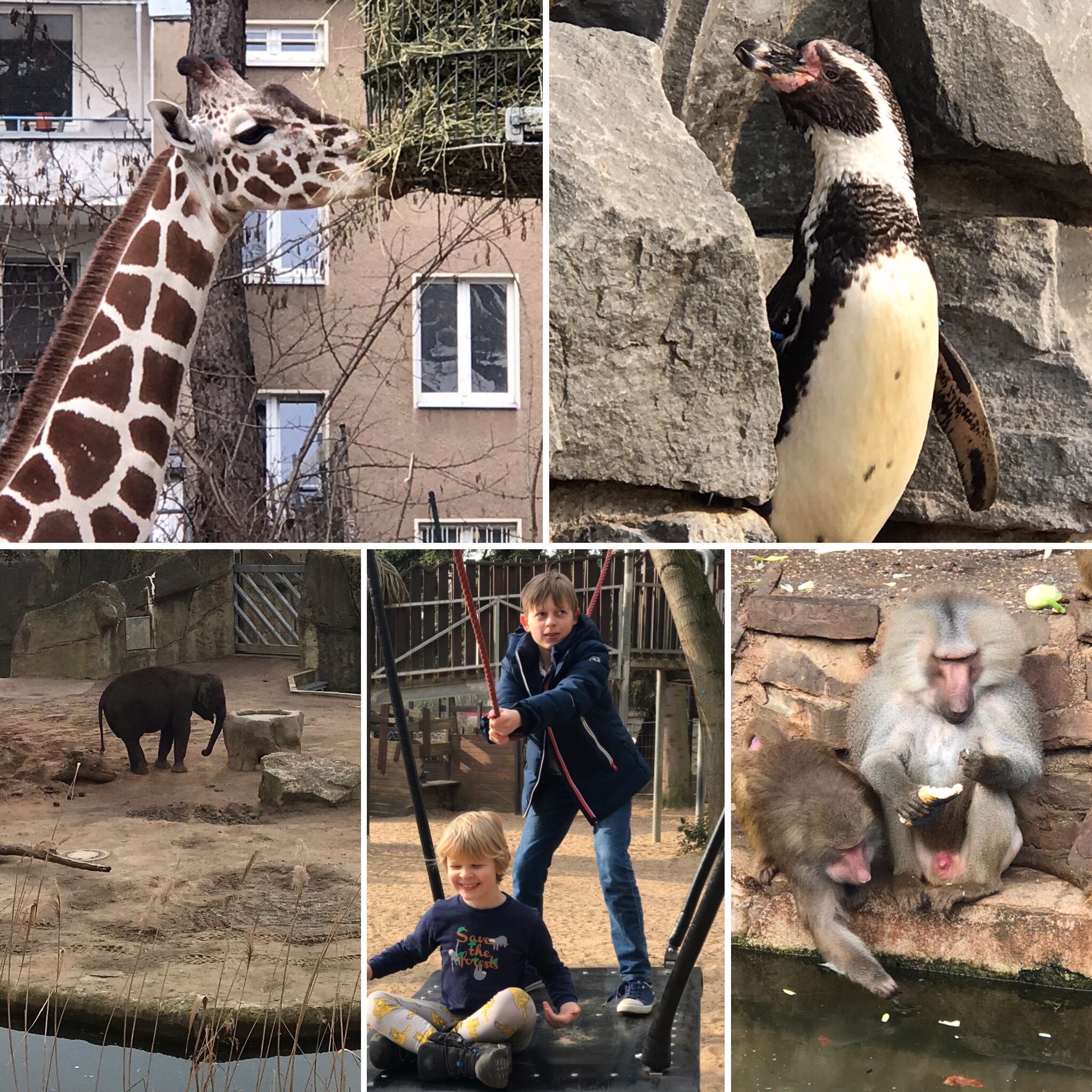 Cologne Zoo 