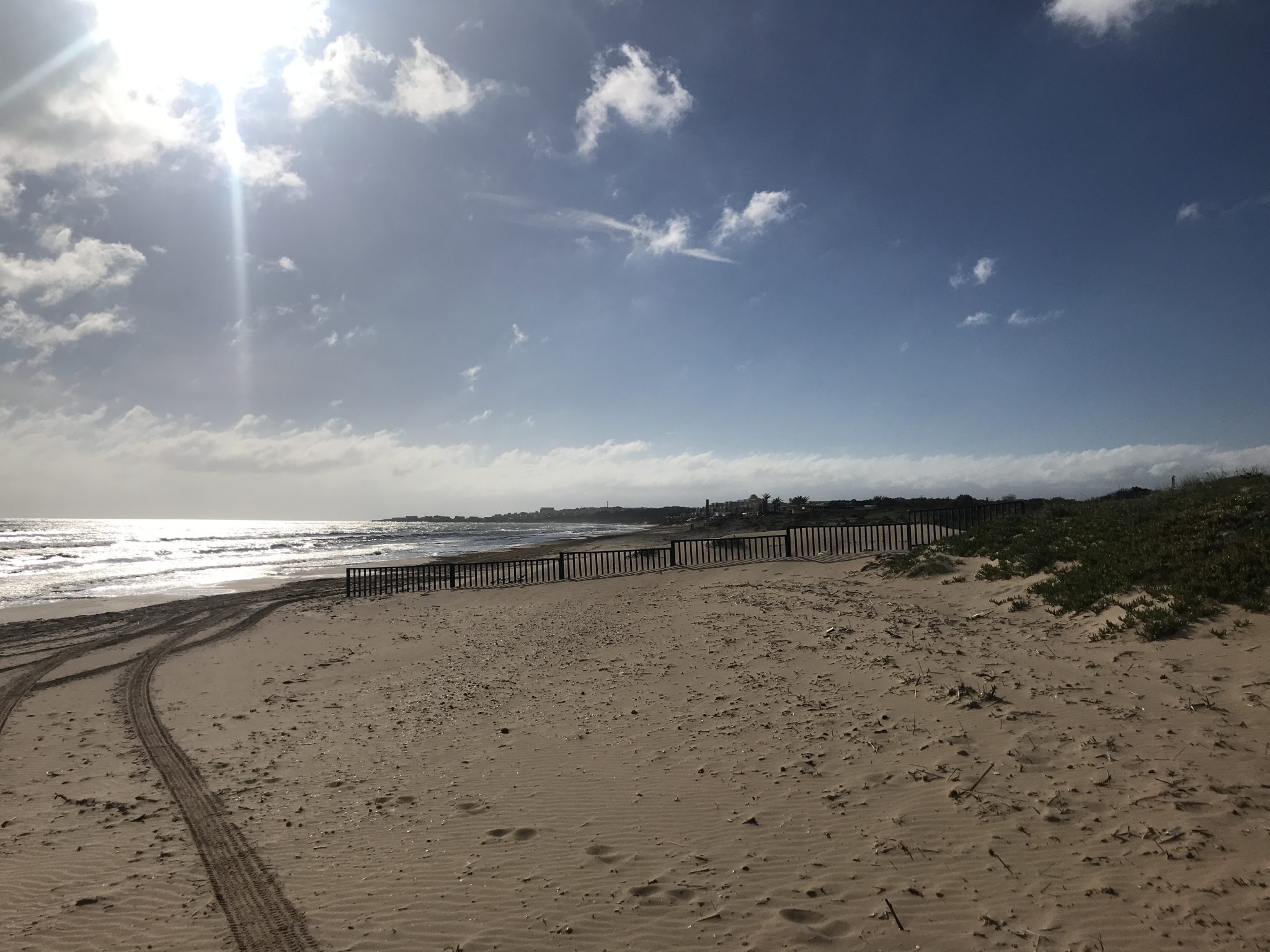 The best things to do in Tunisia