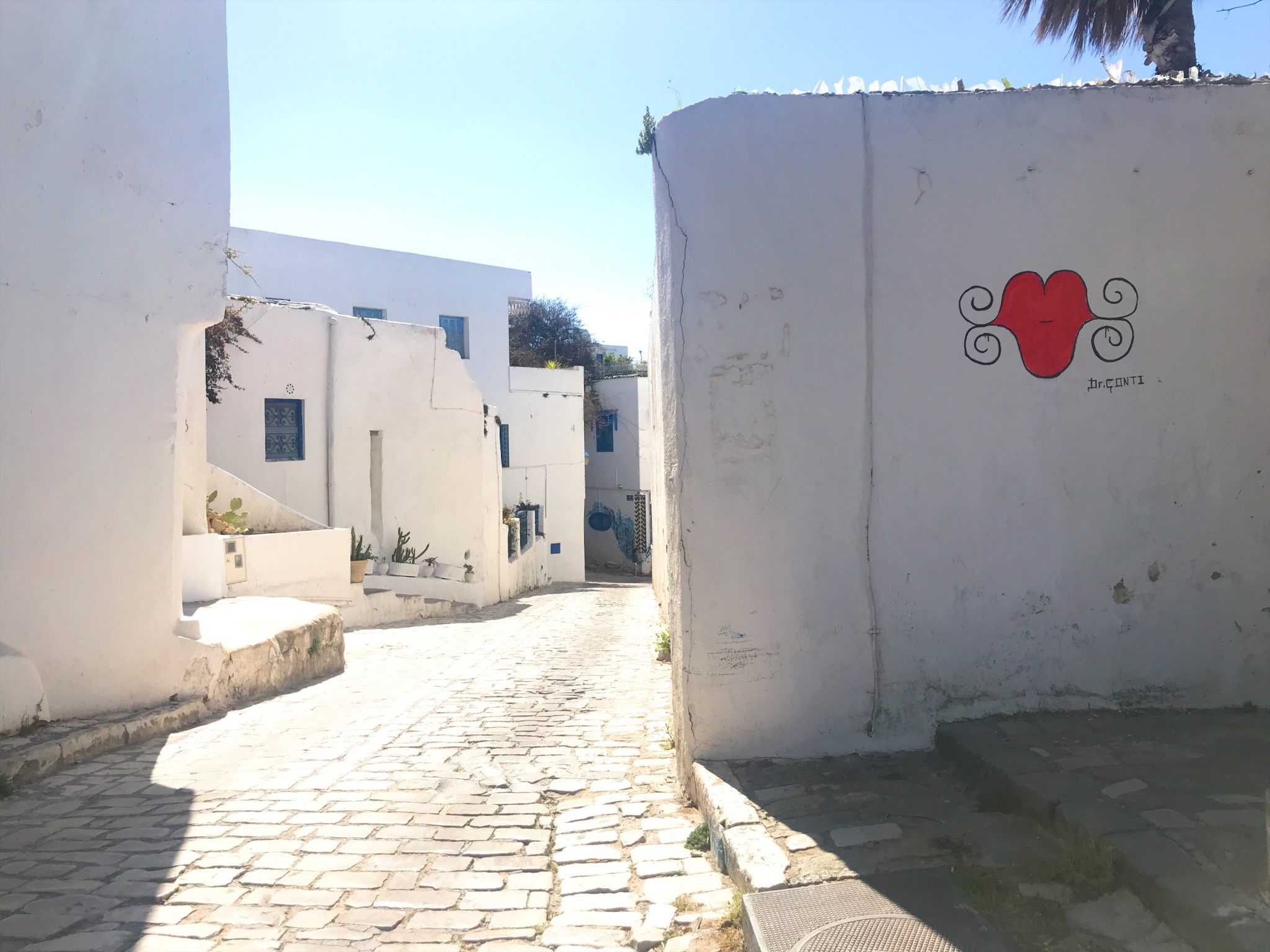 The best things to do in Tunisia