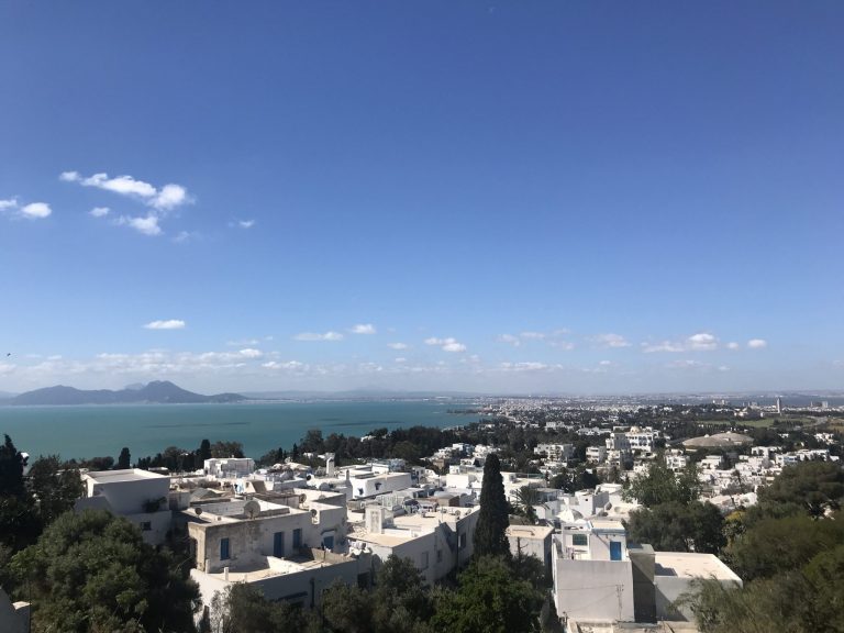 making The best things to do in Tunisia