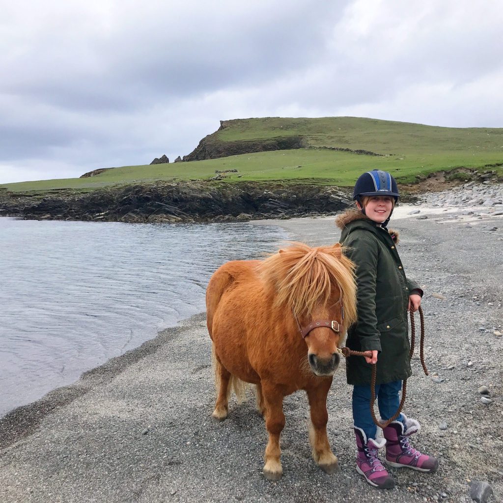 Taking a Shetland Pony to the beach