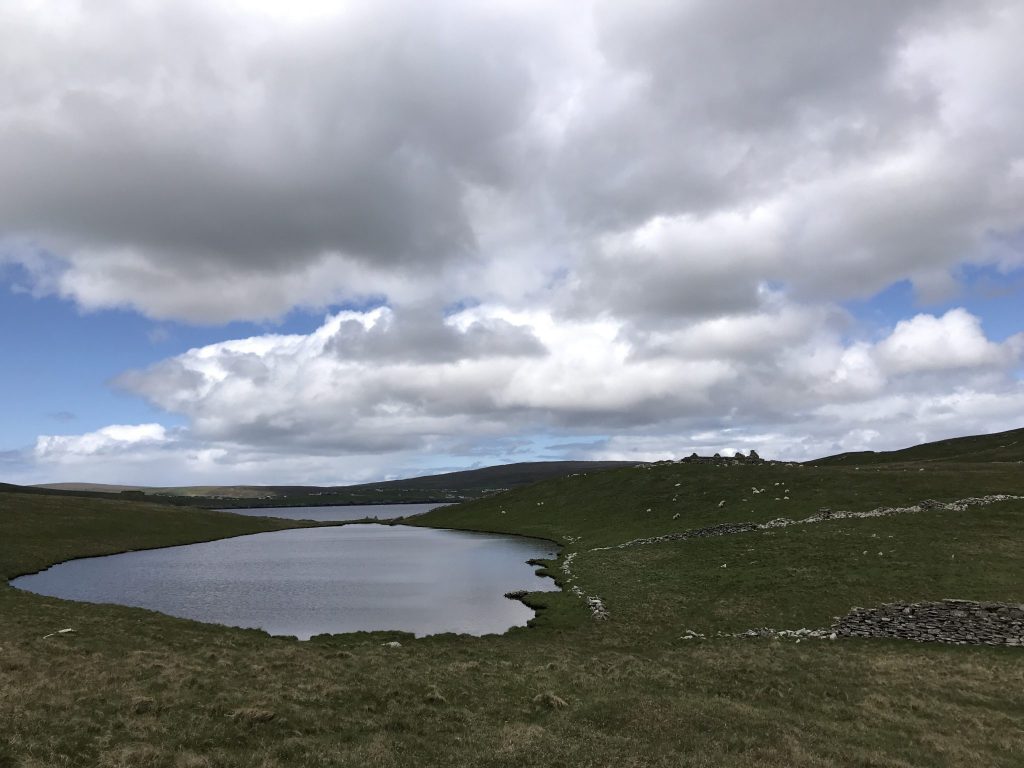 Mousa, Shetland
