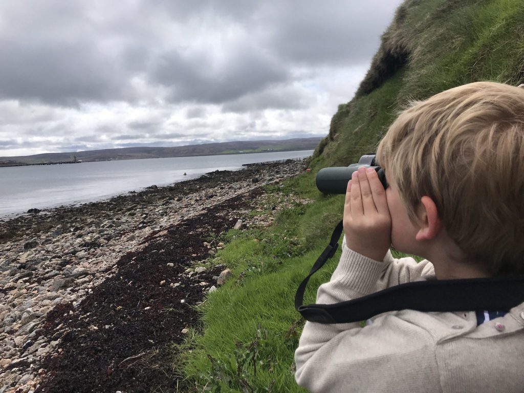 Looking out for otters in Shetland