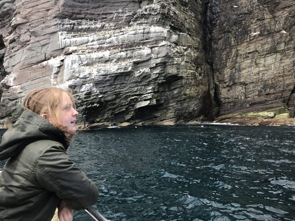 Bird watching on Noss, Shetland