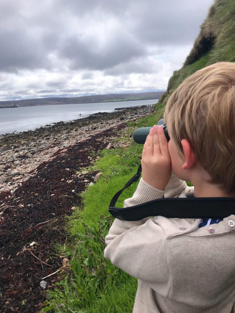 Searching for otters on Shetland