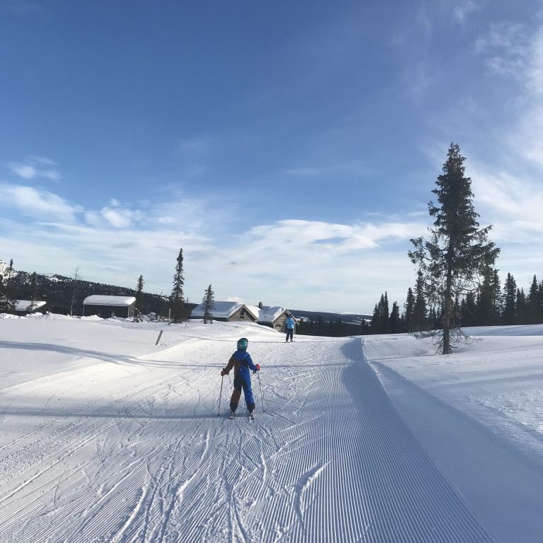 Ski in Ski out at Varden Fjellandsby Anneks - a perfect log cabin in Kvitfjell, Norway