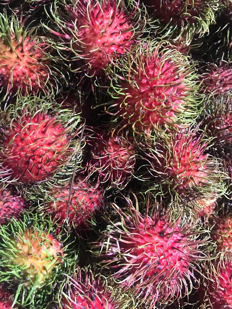 The best things to do in Bangkok with kids (which adults will love too) - Thailand