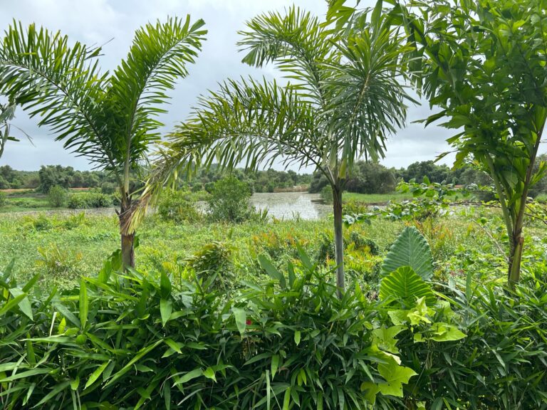 Things to do in Goa, India - Storii by ITC Hotels Moira Riviera North Goa India