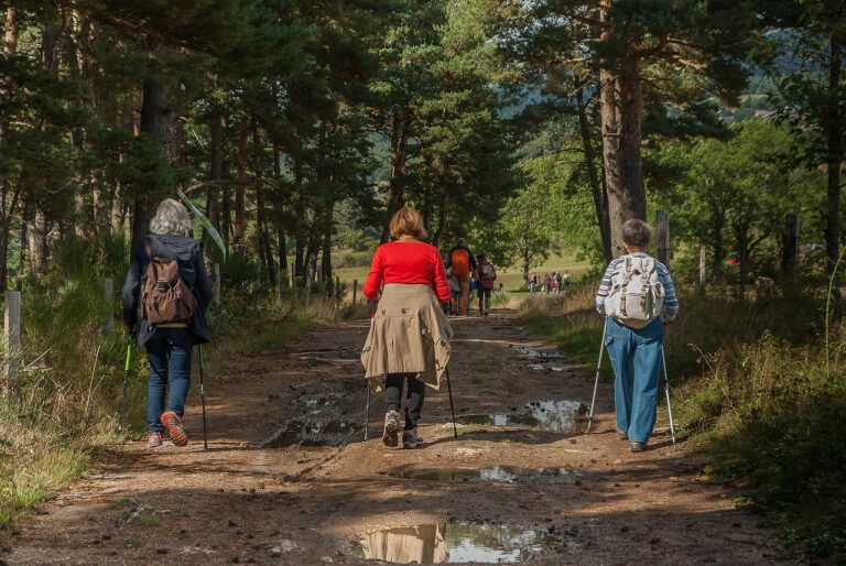 Safe hiking trips