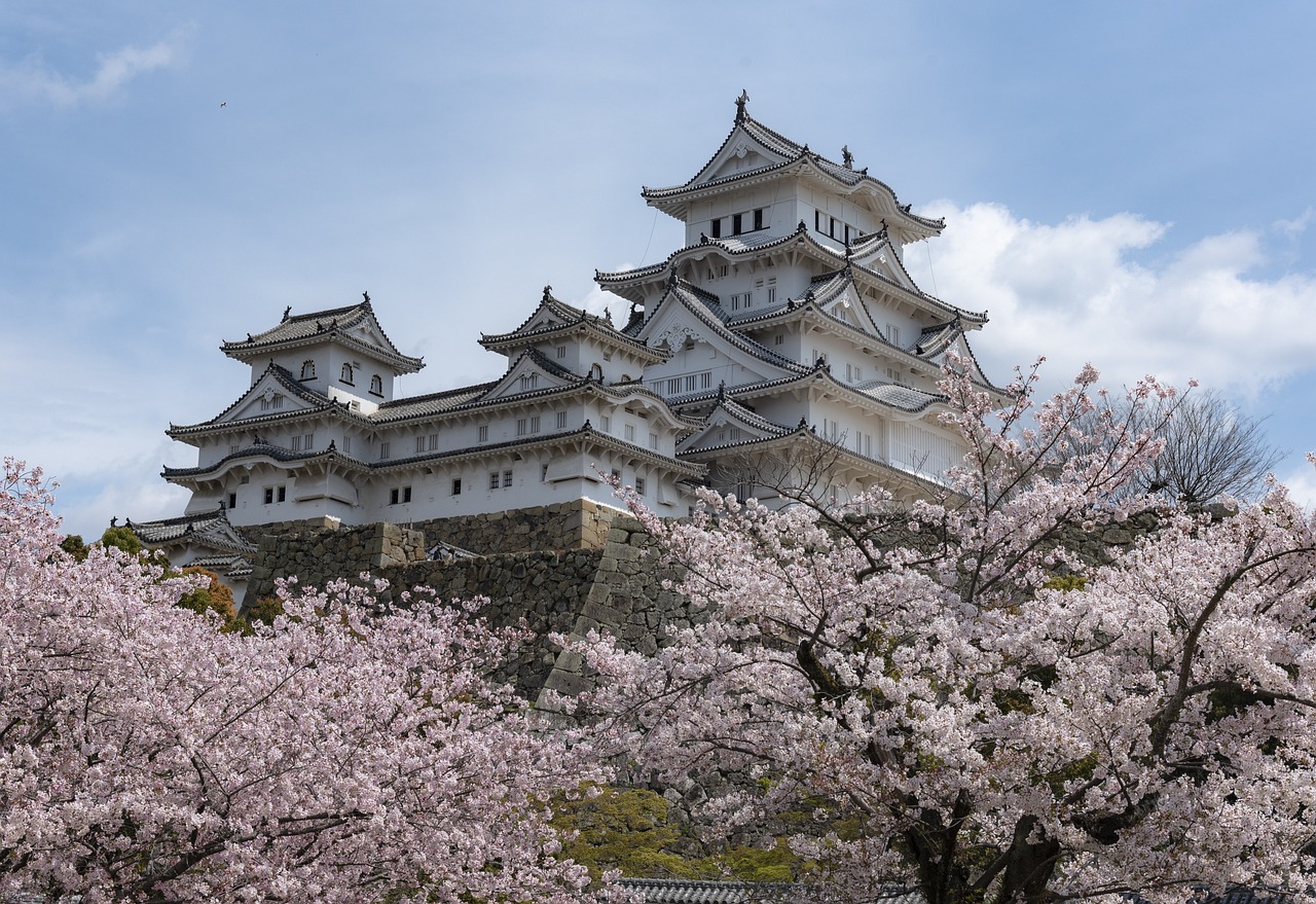 Contrasts of Japan and South Korea