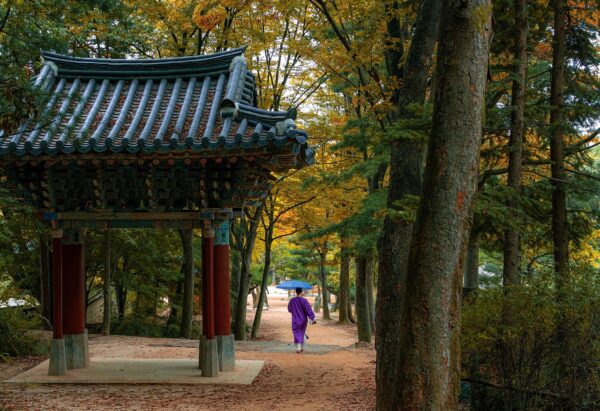 Contrasts of Japan and South Korea