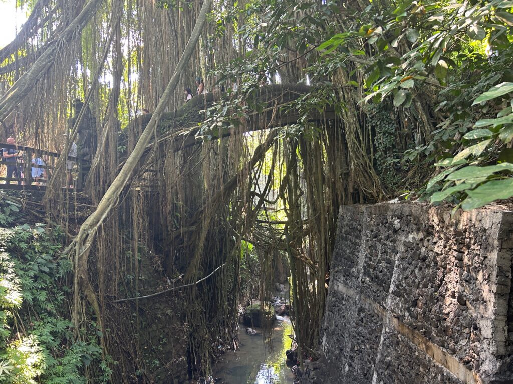 Sacred monkey forest Ubud Bali Indonesia