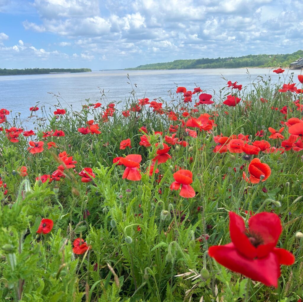 Mississippi River - Natchez, Mississippi, USA